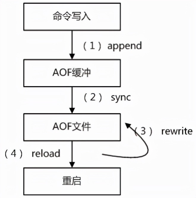 redis之RDB、AOF持久化及如何优化fork-开源基础软件社区