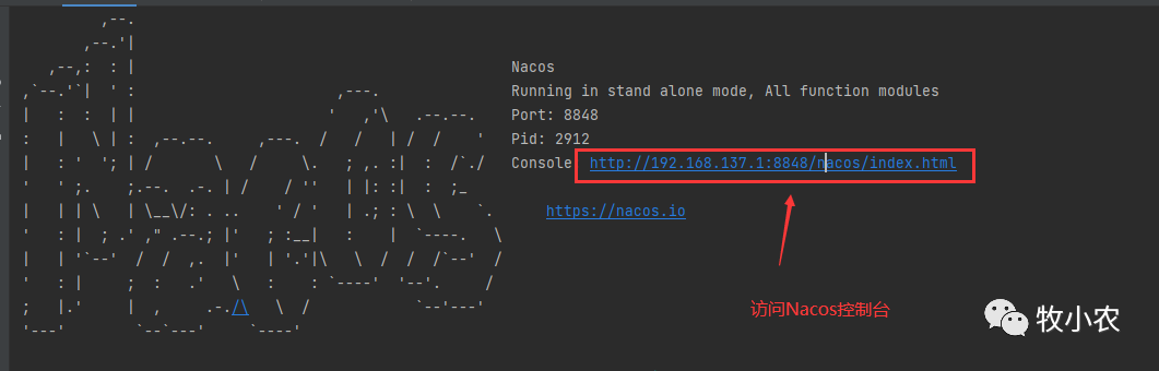 Nacos源码系列—关于服务注册的那些事-开源基础软件社区